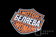 Толстовки с логотипом «Беляев,Беляева»